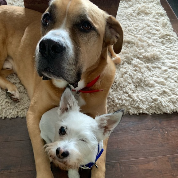 Meet your Posher, Jessica - Picture 1 of 1